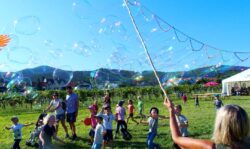 hunderte fröhlich, bunte Bubbles bringen den BesucherInnen der Genußmeile Freude und Aktion riesen Spaß und jede Menge Bewegung mit den Riesenseifenblasen von bubbles4you